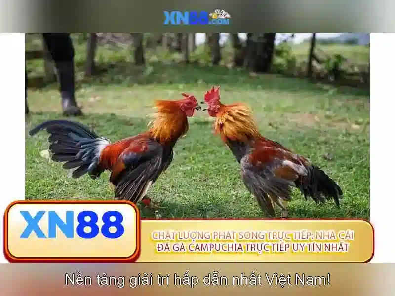 tác giả Nguyễn Thị Ngọc Lan