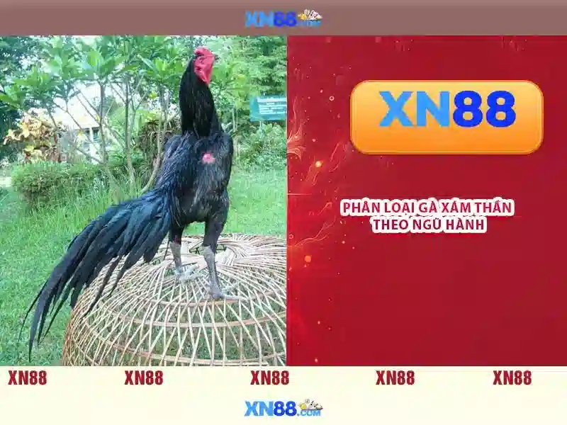 tác giả Nguyễn Thị Ngọc Lan