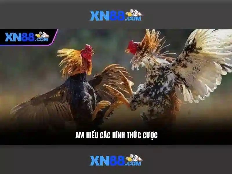 tác giả Nguyễn Thị Ngọc Lan