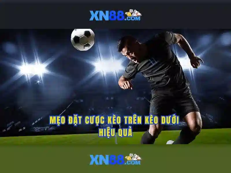 tác giả Nguyễn Thị Ngọc Lan