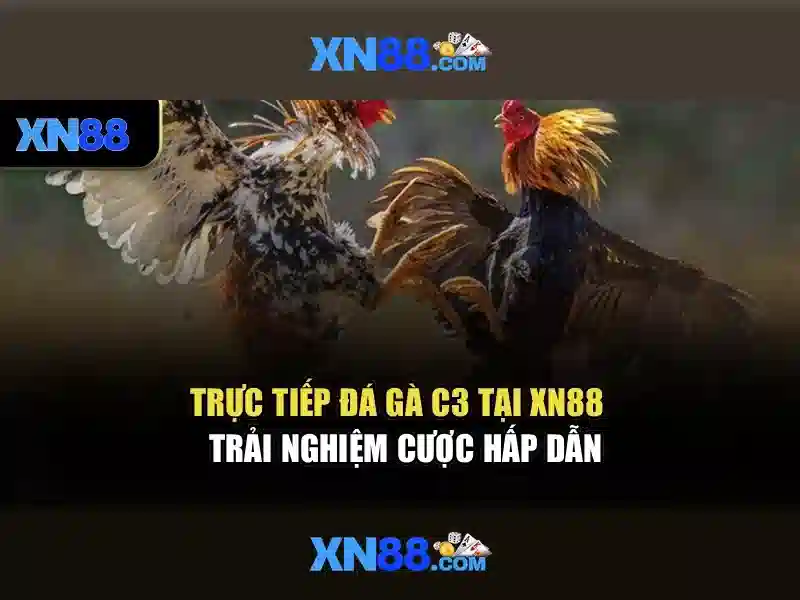 tác giả Nguyễn Thị Ngọc Lan
