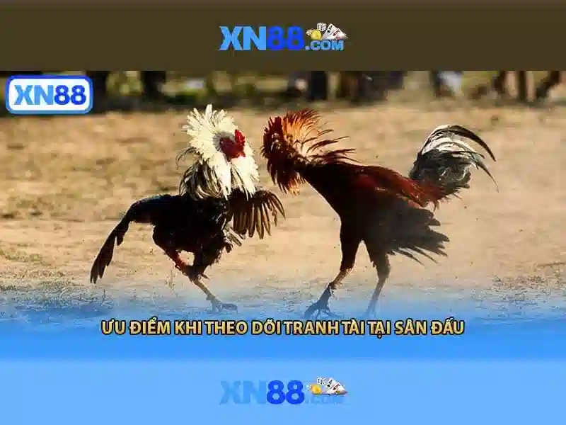 tác giả Nguyễn Thị Ngọc Lan