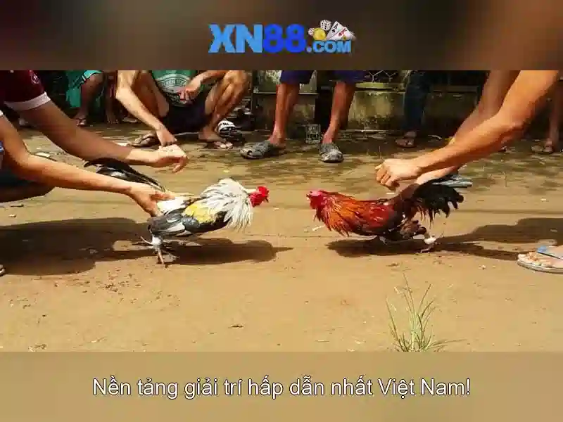 tác giả Nguyễn Thị Ngọc Lan