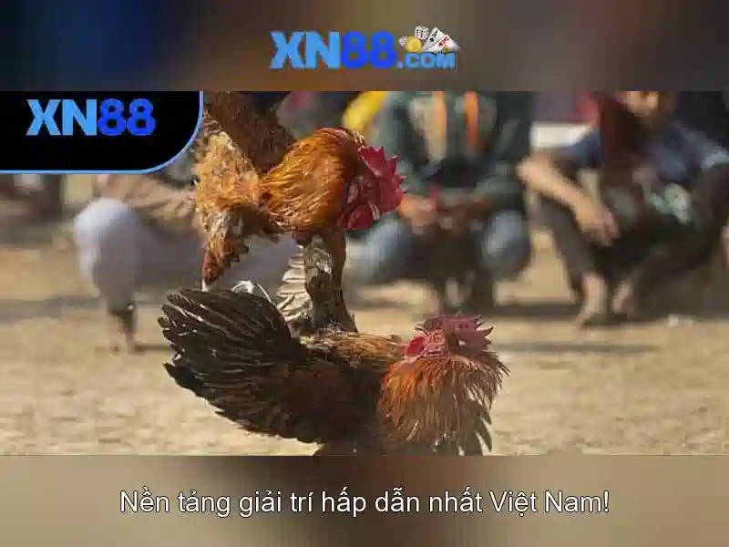 tác giả Nguyễn Thị Ngọc Lan