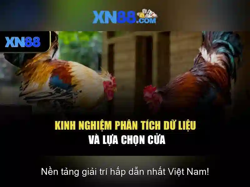 tác giả Nguyễn Thị Ngọc Lan