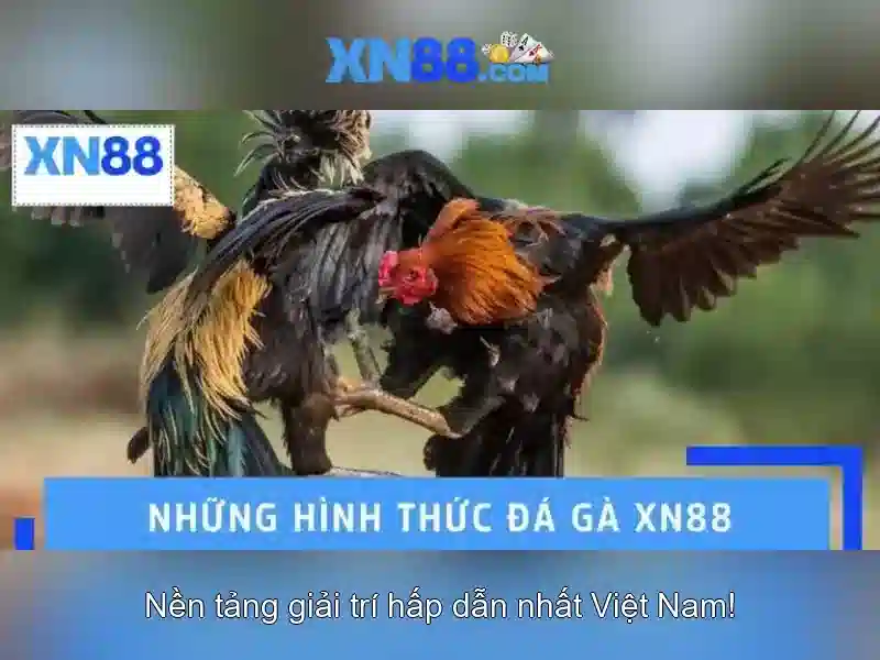 tác giả Nguyễn Thị Ngọc Lan