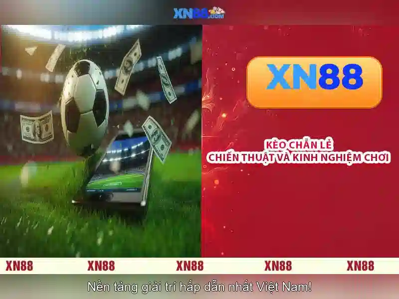 tác giả Nguyễn Thị Ngọc Lan