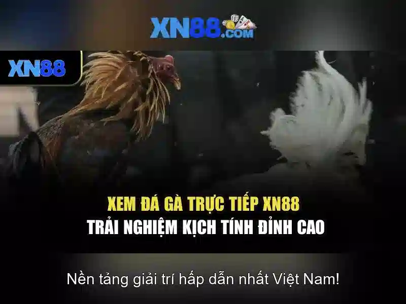 tác giả Nguyễn Thị Ngọc Lan